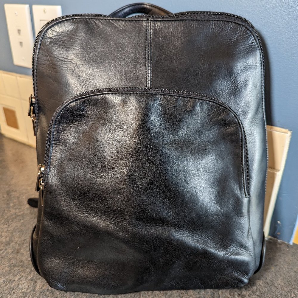 Danier Leather Backpack